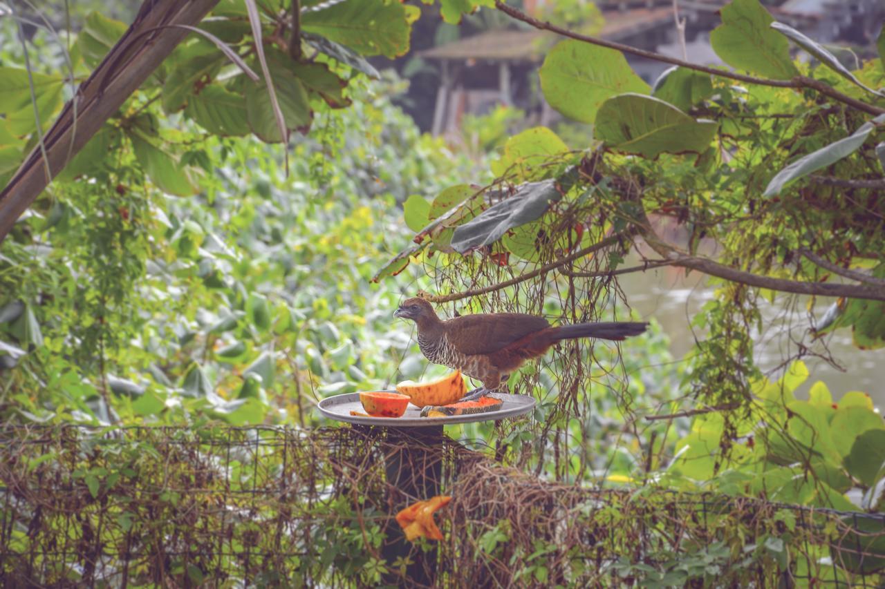 Pousada Canto Da Brava Balneário Camboriú エクステリア 写真